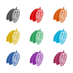 Cocoa bean icon isolated on white background. Set icons colorful