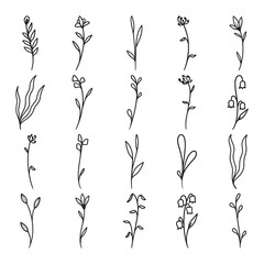 Wall Mural - Set of plant and flower line art vector