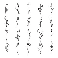 Wall Mural - Set of plant and flower line art vector