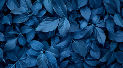 Wall Mural - leaves background, blue color, high resolution, ultra realistic photography


