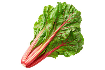 Poster - Red chard salad with both the stalks and leaves visible isolated on a white background.