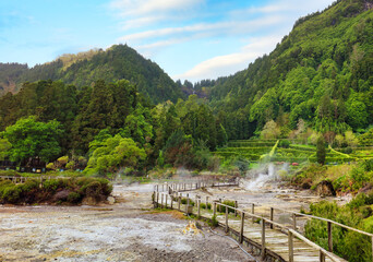 Canvas Print - Hotsprings Of The Lake Furnas. Sao Miguel, Azores. Lagoa das Furnas Hotsprings. São Miguel, Azores, Portugal. Steam venting at Lagoa das Furnas hotsprings on Sao Miguel island in the Azores, Portugal.