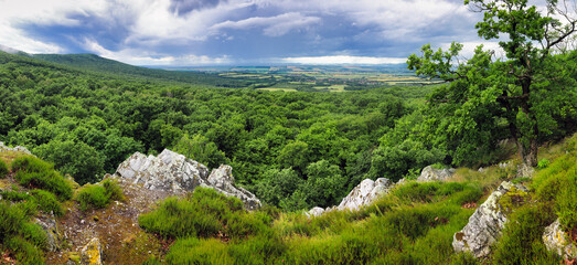 Poster - Panorama of Beautiful summer landscape forest and rocks in Tribec mountain