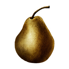 Wall Mural - Gold pear fruit with a white border