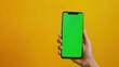 © Alex - The smartphone with green screen