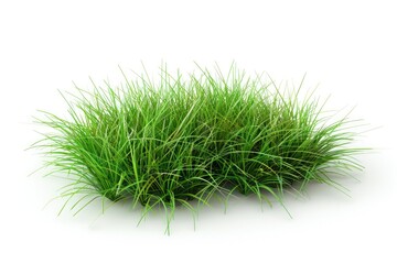 Wall Mural - A close-up shot of lush green grass sitting on a white background