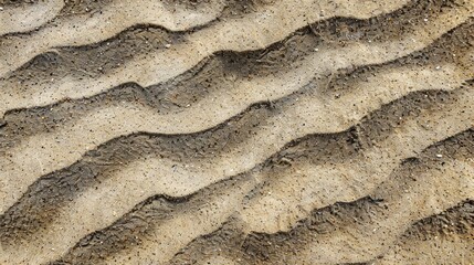 Canvas Print - Texture of sea sand found in nature