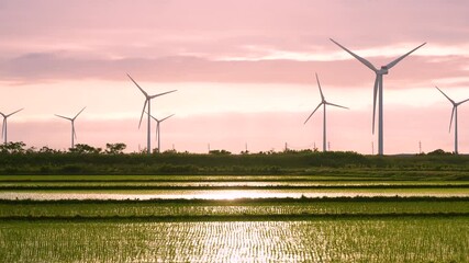 Canvas Print - 青森県　津軽半島の夕陽と風力発電