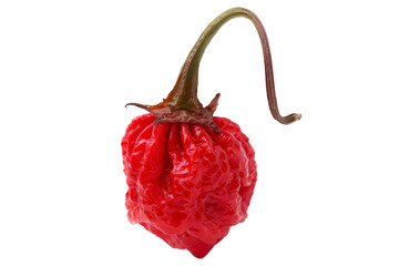 Wall Mural - Red Carolina Reaper chili pepper isolated on a white background.