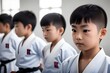 © freelanceartist - Young Karate kid, child, judo, kung fu, mma, Muay Thai, Taekwondo, Tai Chi, Kickboxing, Aikido, Kendo, Krav Maga, Brazilian Jiu-Jitsu, Jiu-Jitsu fighters in school, dojo, Training, Discipline