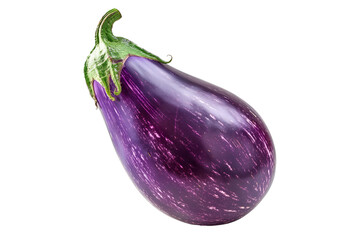 A single striped Italian purple eggplant is isolated on a white background.