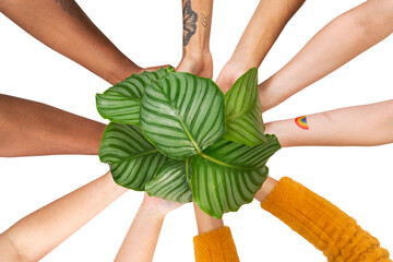 Poster - Png Hands cupping plant mockup  save the environment campaign