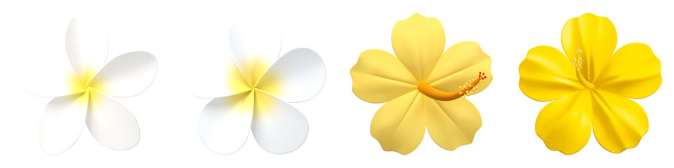 Poster - Summer flower  png cut out element set