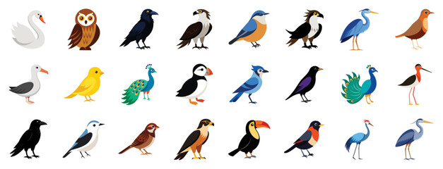 collection of various bird species icons, vector cartoon illustration. features swan, owl, raven, pe