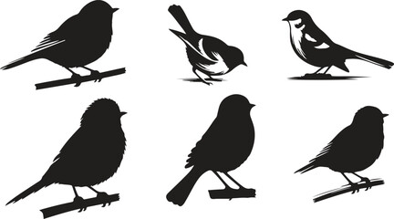 birds silhouettes set