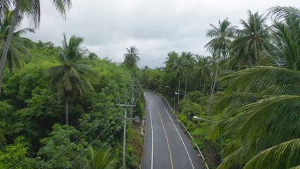 Wall Mural - Aerial view of cars driving on highway or moterway. Overpass bridge street roads in connection network of architecture concept. Top view of forest trees. Nature landscape