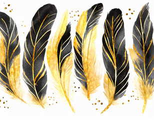 Black and golden feathers on a white background