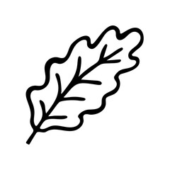 Doodle oak leaf. Hand drawn vector illustration