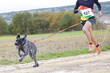 © Raquel Pedrosa - Dog and man taking part in a popular canicross race