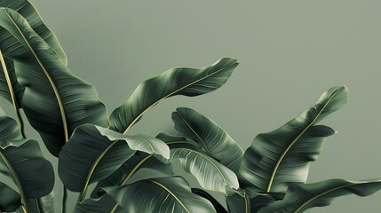 Wall Mural - green ribbed plantain plant beautiful floral background 3d render : Generative AI