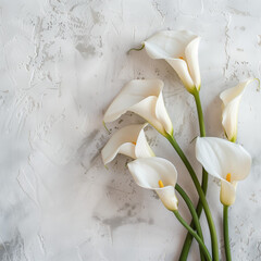 Sticker - Elegant, colorful calla lilies, graceful, curved blooms, Elegant and whimsical watercolor calla lilies arranged in a random bunch on a clean white canvas.  Space fo text Closeup