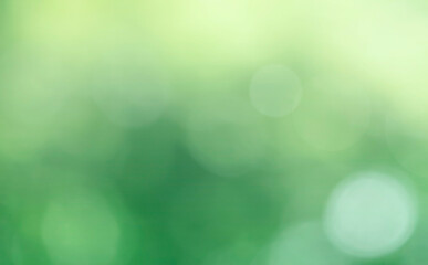 Wall Mural - nature bokeh blur abstract background. sunlight bokeh on green leaf tree foliage, blurred leaves for