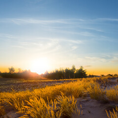 Wall Mural - wide summer prairie at the dramatic sunset