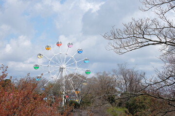 flower in the wind.