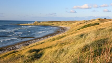 Poster - Grass-covered dunes along coastal areas protect shorelines from erosion and provide habitats for unique wildlife species.