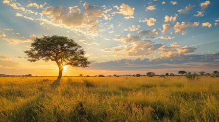 Wall Mural - Grasslands and savannas, with their open spaces and rich wildlife, are important ecosystems that require protection and conservation.