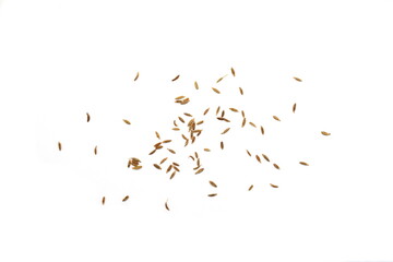 Wall Mural - Cumin or caraway seeds isolated on white background. 