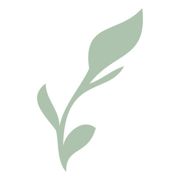 A simple green leaf with a minimalist, abstract design