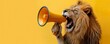© DJSPIDA FOTO - lion with megaphone on yellow background
