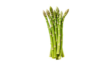 Wall Mural - asparagus food cutout. isolated asparagus vegetable on transparent background