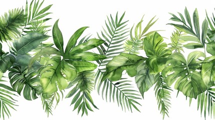 Wall Mural - Isolated tropical leaves and branches on a white background in a watercolor banner.