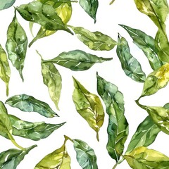 Wall Mural - On a white background, a watercolor Bay leaf seamless pattern with flowers and leaves is depicted.