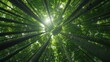 © JP STUDIO LAB - A bottom view in a dense forest, looking up at the green tops of the trees, panoramic scene with light filtering through the leaves, showcasing the beauty of nature