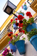 © yaqui_villegas - A stunning display of colorful flower pots attached to a wall beneath a classic street lamp, creating a cheerful and vibrant splashes of color against the white surface.