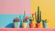 © TheWaterMeloonProjec - Various cacti next to colored wall room for text Home decoration