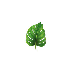Wall Mural - Tropical leaf icon. Vector illustration of a monstera leaf.