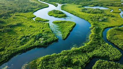 Poster - lush river delta aerial view of winding waterways and verdant vegetation ecosystem biodiversity hotspot nature photography