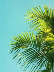 Wall Mural - Palm Leaves Against Blue Sky