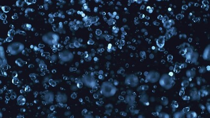 Canvas Print - Super Slow Motion of Splashing Water on Black Background with Beautiful Big Water Drops. Filmed on High Speed Cinema Camera, 1000fps.