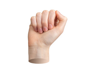 Wall Mural - Fist, hand up, clenched power. Isolated white background. Protest arm, empower symbol, revolution strength. front view, thumb. Body part communication, expression., transparent PNG cutout