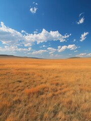 Wall Mural - A large open field with a few clouds in the sky. AI.