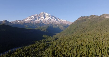 Wall Mural - Mount Rainier Overlooking Lush Forests Under Clear Blue Sky