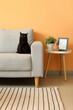 © Pixel-Shot - Cute black cat sitting on grey sofa and table with houseplant and frame near orange wall