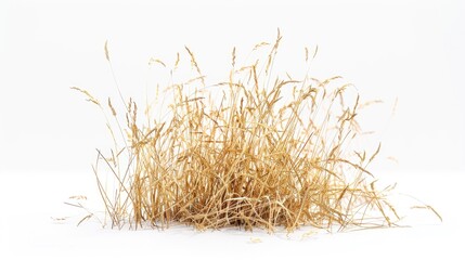 A pile of dry grass sits atop a snowy ground, featuring a winter landscape with a natural contrast between brown and white