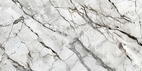 Wall Mural - A close-up view shows the intricate details and texture patterns of white marble.