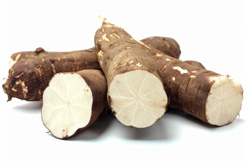 Poster - Cassava root is a tasty tropical carbohydrate source